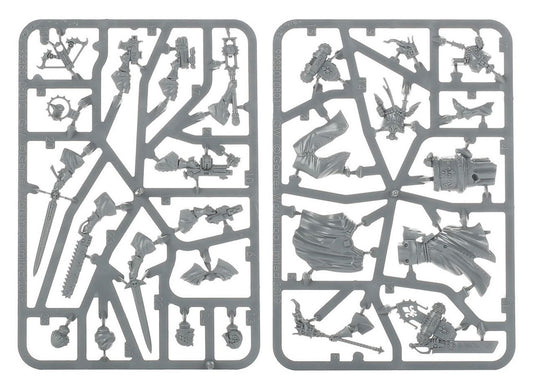 Warhammer 40000 Adepta Sororitas Canoness new on sprue